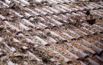 Isle Of Axholme roof cleaning companies